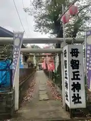 母智丘神社の鳥居