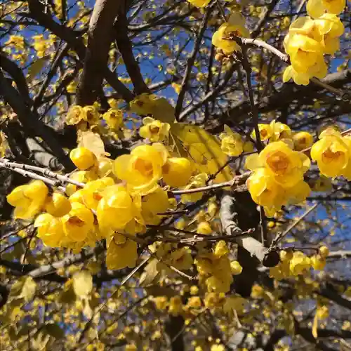 横浜　西方寺の自然