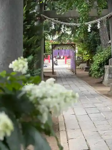 越谷香取神社(埼玉県)