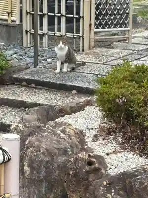 太閤山常泉寺(愛知県)