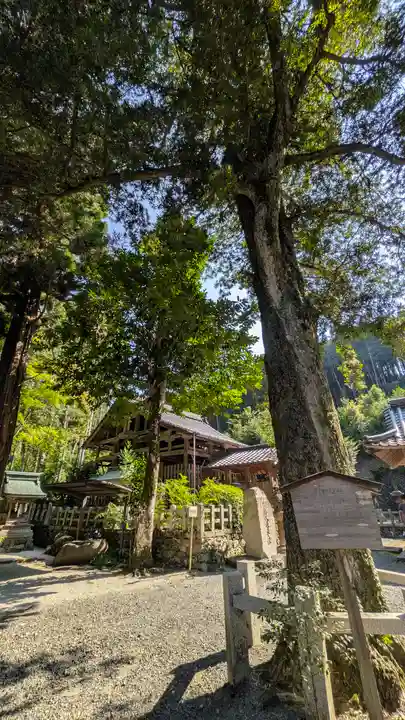 愛宕神社(阿多古神社)(京都府)