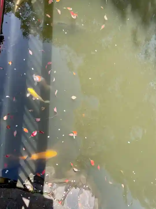 七渡神社(七渡弁天社)(東京都)