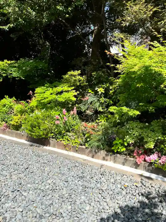 東京大神宮(東京都)