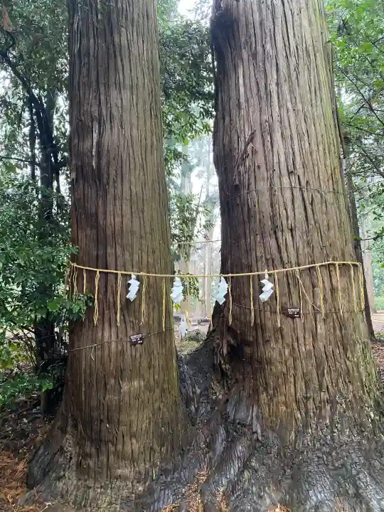 日吉神社の{uncategorized: "未分類", other: "その他", undefined: "問題あり", building: "その他建物", grave: "お墓", sacred_gate: "鳥居", guardian: "狛犬", statue: "像", buddha: "仏像", history: "歴史", nature: "自然", garden: "庭園", animal: "動物", pagoda: "塔", temizu: "手水舎", mountain_gate: "山門・神門", sanctuary: "本殿・本堂", subordinate: "末社・摂社", art: "芸術", scenery: "景色", jizo: "地蔵", ema: "絵馬", goshuin: "御朱印", omikuji: "おみくじ", items: "授与品その他", amulet: "お守り", goshuincho: "御朱印帳", eats: "食事", festival: "お祭り", votive_dance: "神楽", shichigosan: "七五三参", wedding: "結婚式", experience: "体験その他", initially: "初詣", around: "周辺", anti_infection: "感染症対策"}