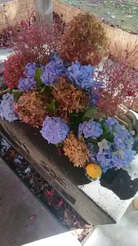 北広島市総鎮守　廣島神社の手水舎