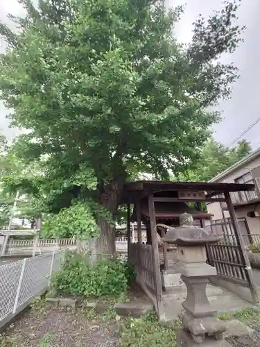 蘇我比咩神社(千葉県)