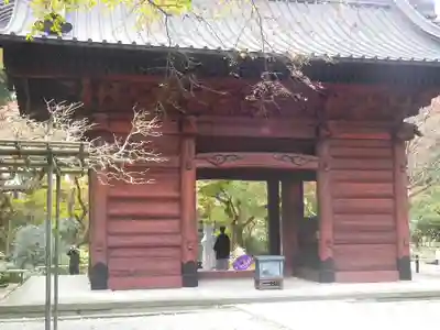 妙本寺の山門・神門