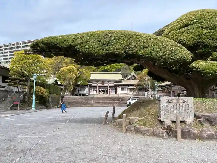 照國神社の自然