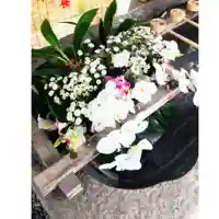 彌彦神社 (伊夜日子神社)の手水舎