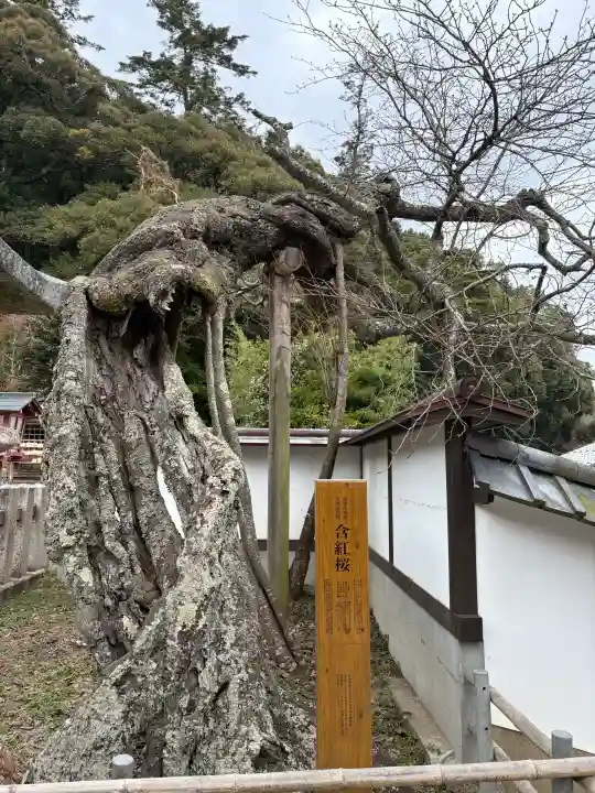 山王宮日吉神社の{uncategorized: "未分類", other: "その他", undefined: "問題あり", building: "その他建物", grave: "お墓", sacred_gate: "鳥居", guardian: "狛犬", statue: "像", buddha: "仏像", history: "歴史", nature: "自然", garden: "庭園", animal: "動物", pagoda: "塔", temizu: "手水舎", mountain_gate: "山門・神門", sanctuary: "本殿・本堂", subordinate: "末社・摂社", art: "芸術", scenery: "景色", jizo: "地蔵", ema: "絵馬", goshuin: "御朱印", omikuji: "おみくじ", items: "授与品その他", amulet: "お守り", goshuincho: "御朱印帳", eats: "食事", festival: "お祭り", votive_dance: "神楽", shichigosan: "七五三参", wedding: "結婚式", experience: "体験その他", initially: "初詣", around: "周辺", anti_infection: "感染症対策"}