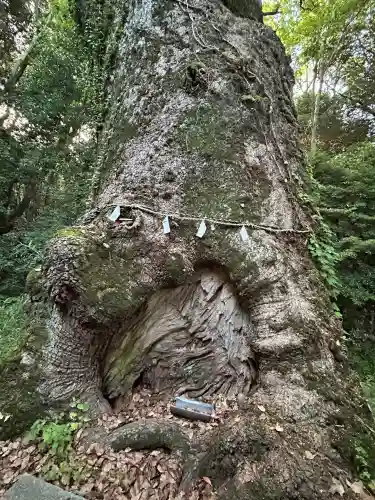 奈良豆比古神社(奈良県)