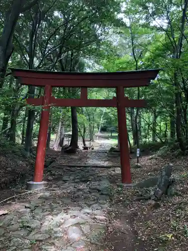 赤神神社(秋田県)