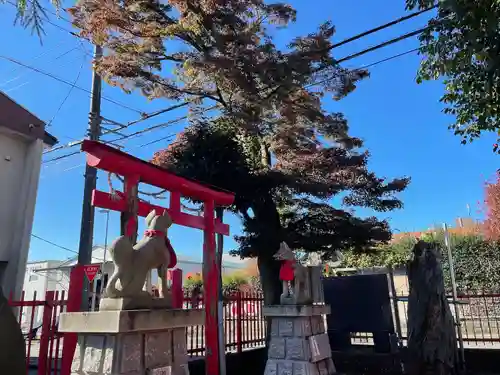 椿稲荷神社の鳥居