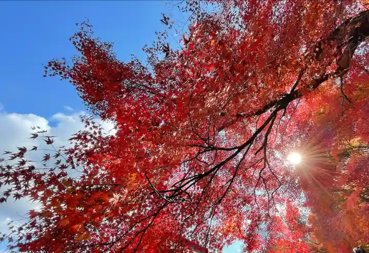 永源寺(茨城県)