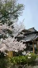 定林山　能成寺の庭園