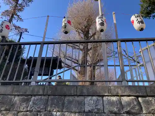 代田八幡神社(東京都)