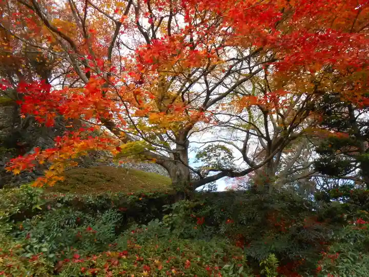 善峯寺(京都府)