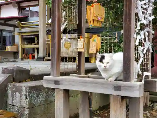 今市報徳二宮神社の動物