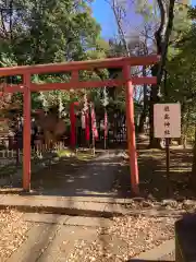 世田谷八幡宮(東京都)