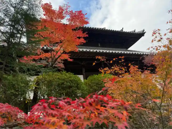 井山 宝福寺(岡山県)