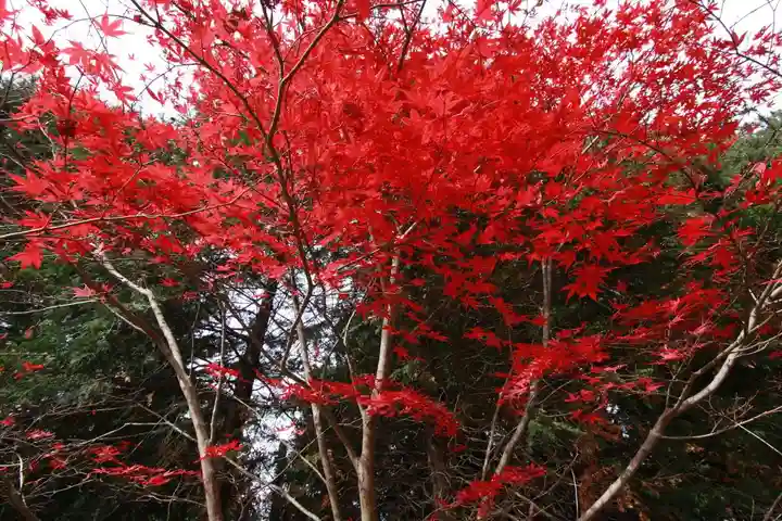 滑川神社 - 仕事と子どもの守り神の自然