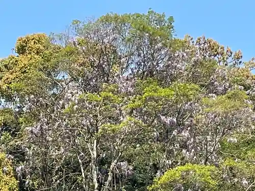 伊勢の国 四天王寺(三重県)