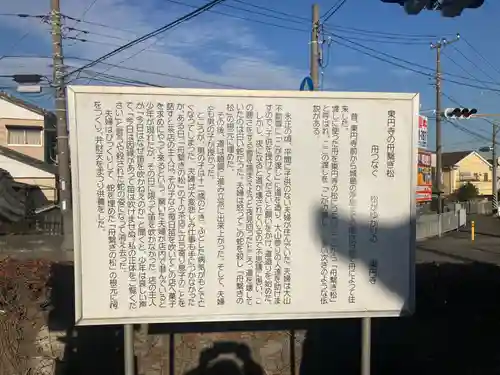 東円寺(神奈川県)