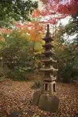 観泉寺の塔