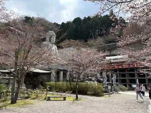 南法華寺（壷阪寺）(奈良県)