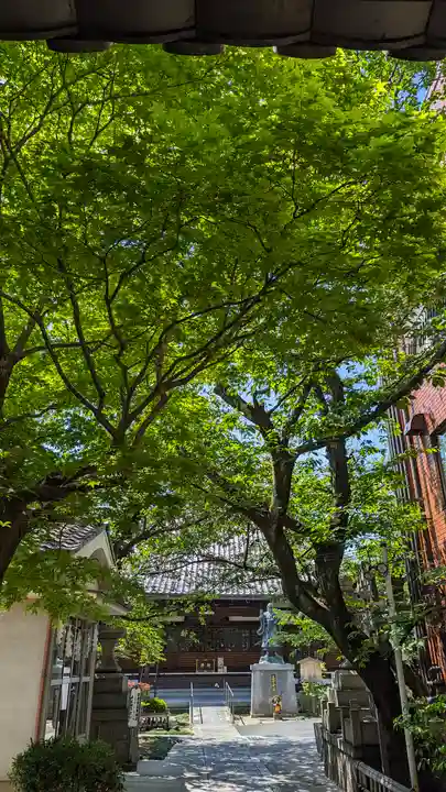 墨染寺(桜寺)(京都府)