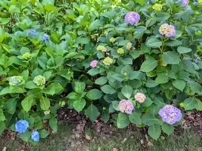 西野神社(北海道)