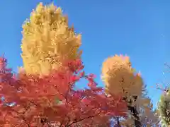 四天王寺(大阪府)