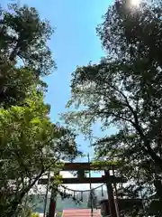 矢彦神社の鳥居