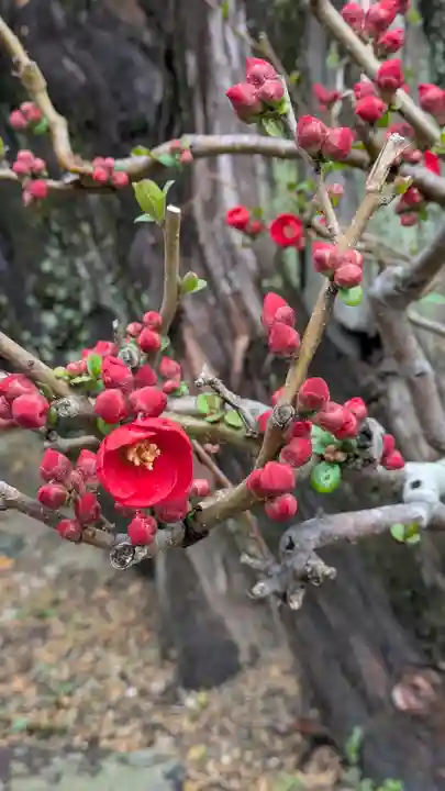 浄正寺(大阪府)