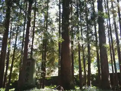 精進川浅間神社の自然