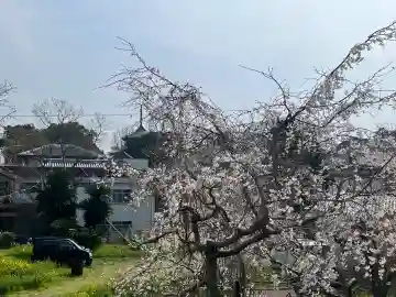 道成寺 奥の院観音堂の{uncategorized: "未分類", other: "その他", undefined: "問題あり", building: "その他建物", grave: "お墓", sacred_gate: "鳥居", guardian: "狛犬", statue: "像", buddha: "仏像", history: "歴史", nature: "自然", garden: "庭園", animal: "動物", pagoda: "塔", temizu: "手水舎", mountain_gate: "山門・神門", sanctuary: "本殿・本堂", subordinate: "末社・摂社", art: "芸術", scenery: "景色", jizo: "地蔵", ema: "絵馬", goshuin: "御朱印", omikuji: "おみくじ", items: "授与品その他", amulet: "お守り", goshuincho: "御朱印帳", eats: "食事", festival: "お祭り", votive_dance: "神楽", shichigosan: "七五三参", wedding: "結婚式", experience: "体験その他", initially: "初詣", around: "周辺", anti_infection: "感染症対策"}