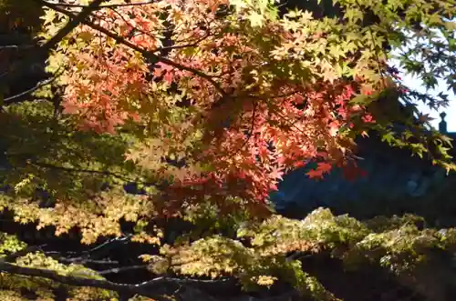 久遠寺(山梨県)
