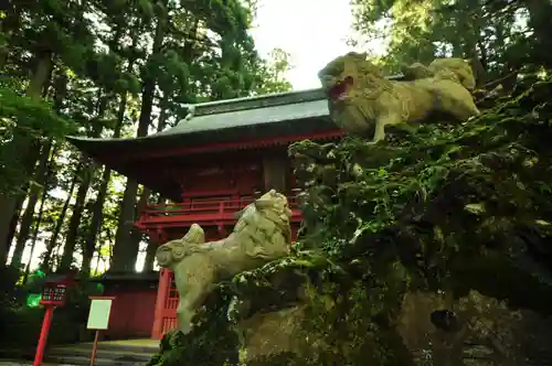 富士山東口本宮 冨士浅間神社の狛犬