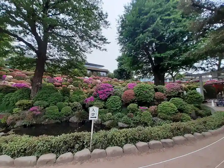 根津神社の自然