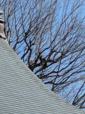 本性寺(東京都)