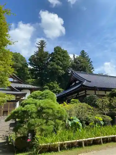 馬頭院の景色