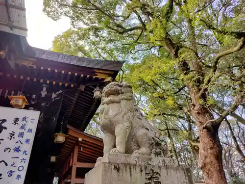 大宮八幡宮の狛犬