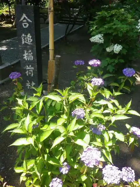 葛原岡神社の自然