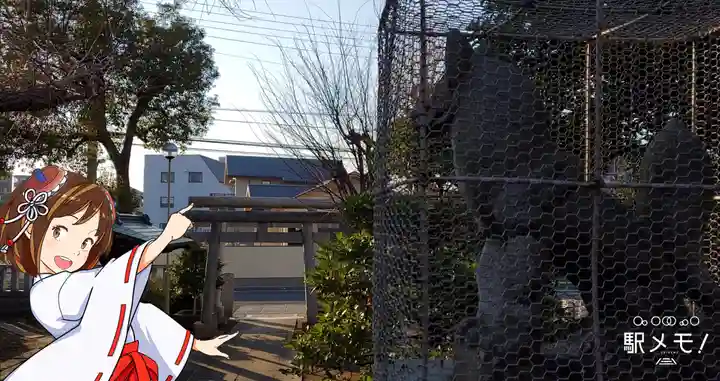 三谷稲荷神社の狛犬