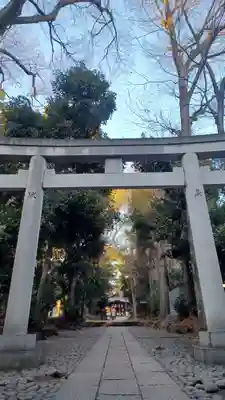 代々木八幡宮の鳥居