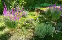 寿量山 速成寺の自然