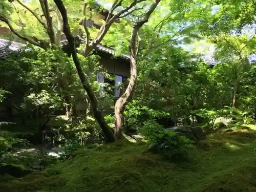 光明寺瑠璃光院の庭園