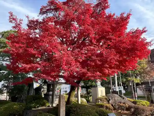 喜多院(埼玉県)