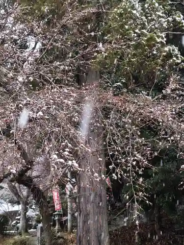 鹿島大神宮(福島県)