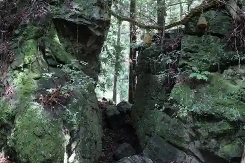 室生龍穴神社の自然